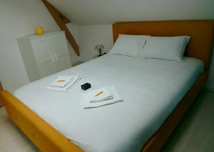 C Coispine T3 Confortable En Bord De Meuse * Charleville-Mézières