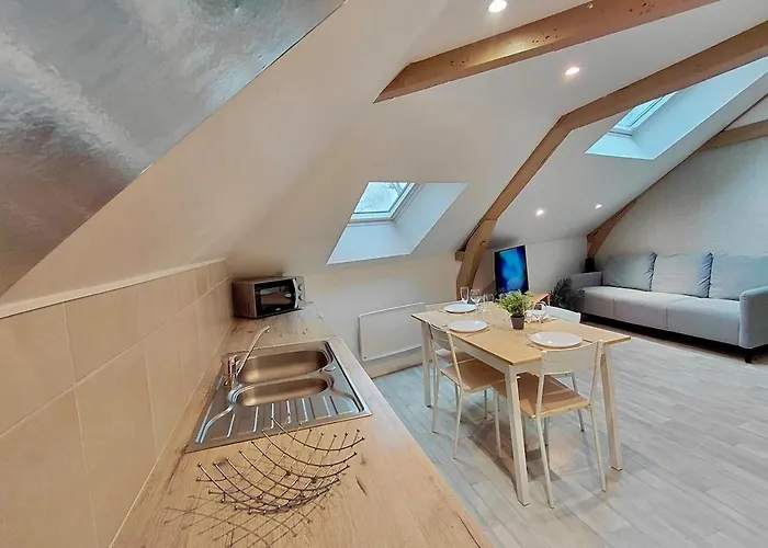 C Coispine T3 Confortable En Bord De Meuse * Charleville-Mézières